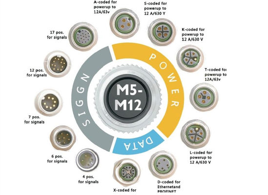 M12 श्रृंखला परिपत्र तार कनेक्टर सॉकेट 12 पिन रियर पेंच पैनल माउंटिंग